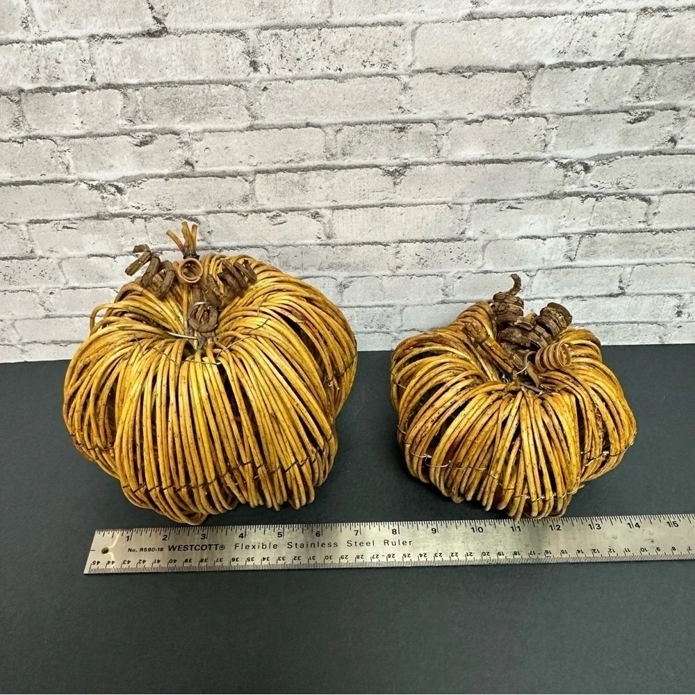 N/A grapevine pumpkin